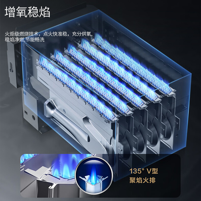 Wholesale Royalstar Natural Gas Water Heater Household 13L Liquefied Gas Forced Exhaust Gas 16 Liters