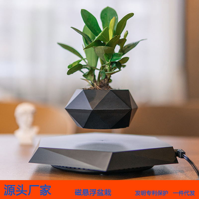 Magnetic Levitation Bonsai, Creative Aerial Plants and Flowers, Unique Style, Home Office Decorations, Cross-Border Green Plants