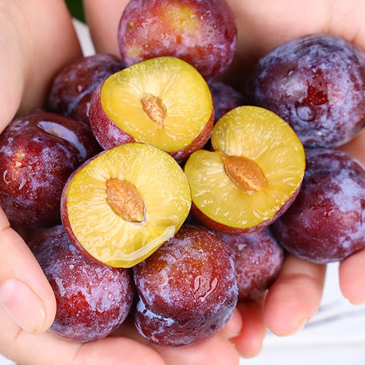 Crispy Red Plums, Sichuan Plums, Phoenix May Crispy Fresh Fruits, Boneless Green Crispy Plums, Half Red, Red, Crispy and Sweet, Whole Box