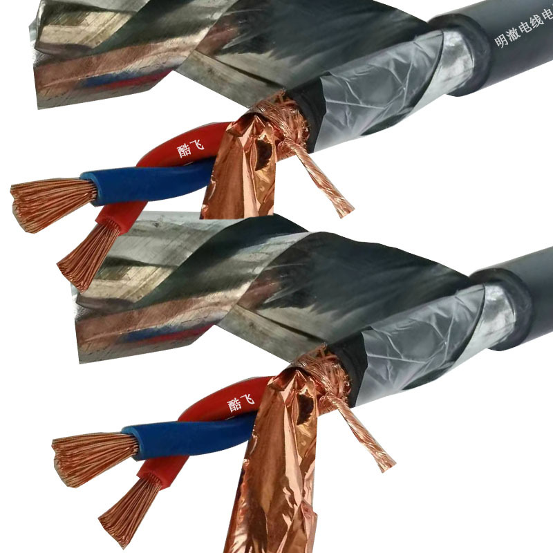 Astp120Ω National Standard All-Copper Armored Rs485 Communication Line Can Bus Rvsp22 Shielded Twisted Pair Astp