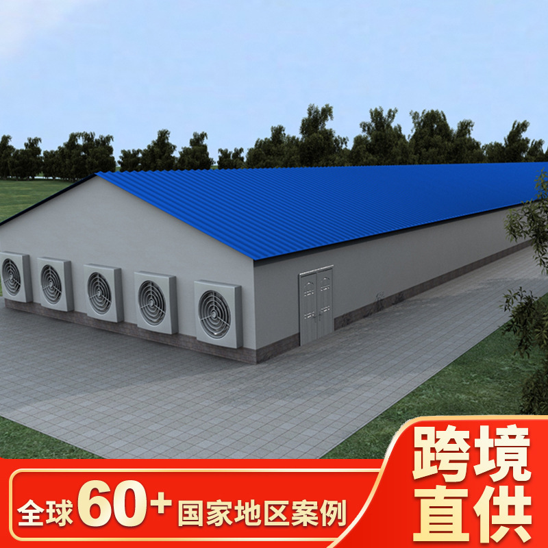 Экспорт стальных конструкций курятников, стабильная рама, хороший изоляционный эффект, полностью автоматизированный курятник