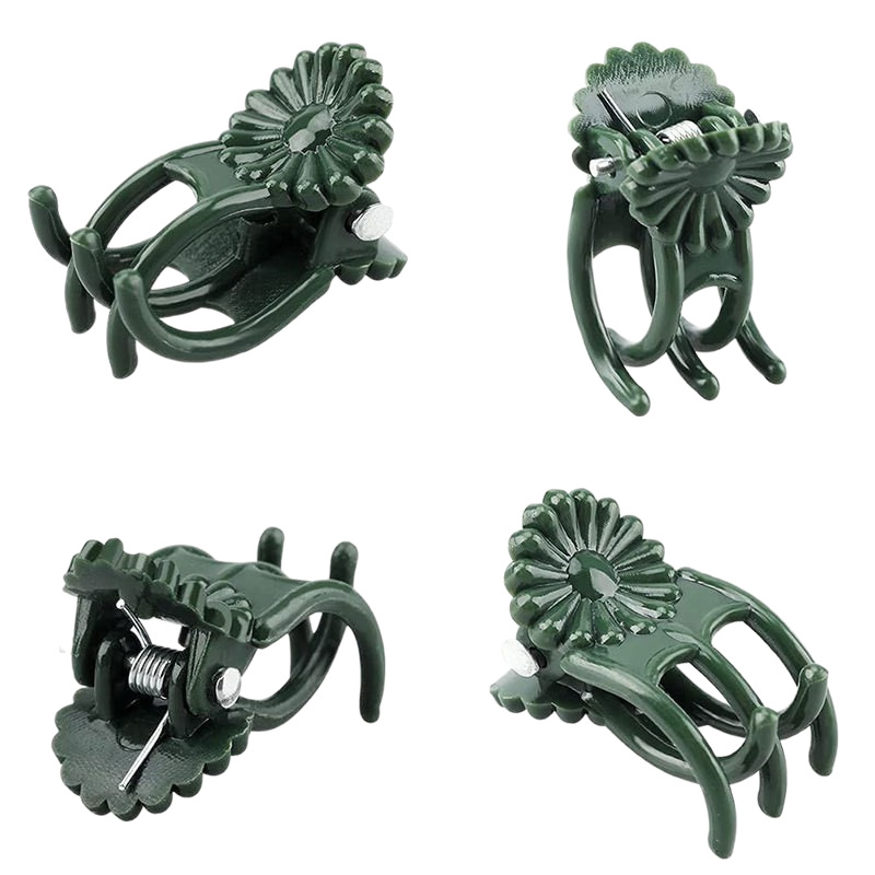 Phalaenopsis Clip Plant Support Clip Orchid Fixed Small Clip Flower Bracket Support Rod Climbing Vine Gardening Setting