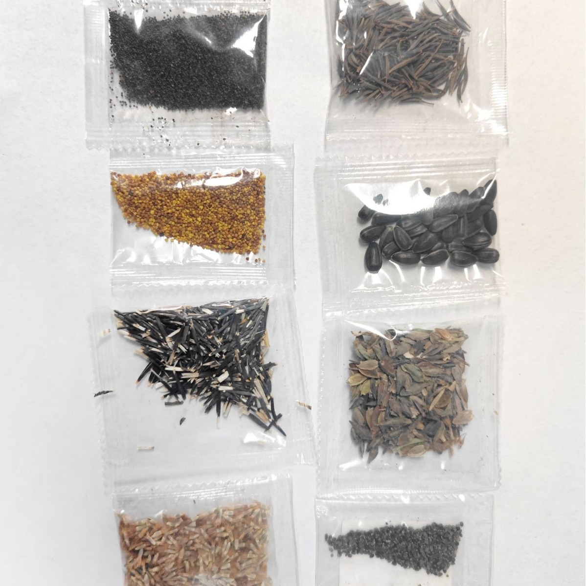 Small Potted Flower Seeds, Dwarf Sunflowers, Morning Glories, Impatiens, Sunflower Manufacturers, Small Packages, Ready-Made Packages