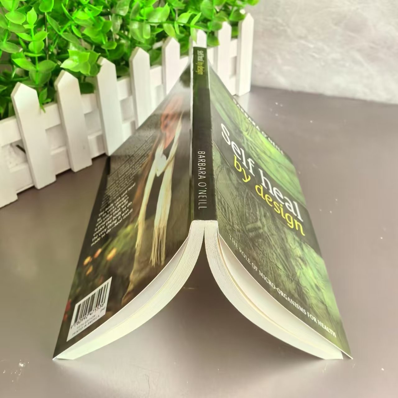 Self Heal by Design- the Role of Micro-Organ English Version