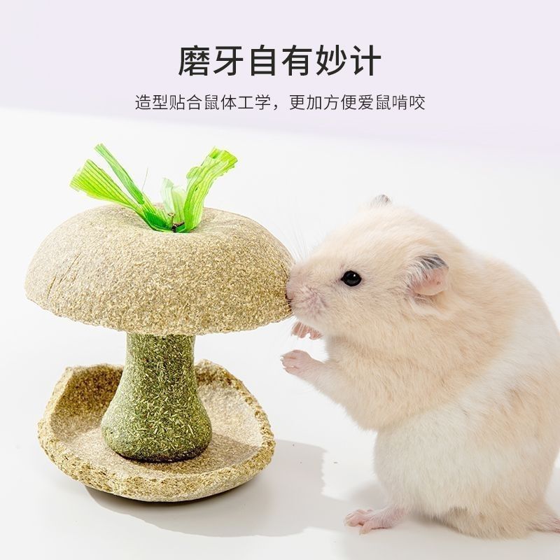 Hamster Apple Core Teething Stick Golden Bear Hamster Teething Food Snacks Wear-Resistant Hiding Landscaping Toys and Supplies