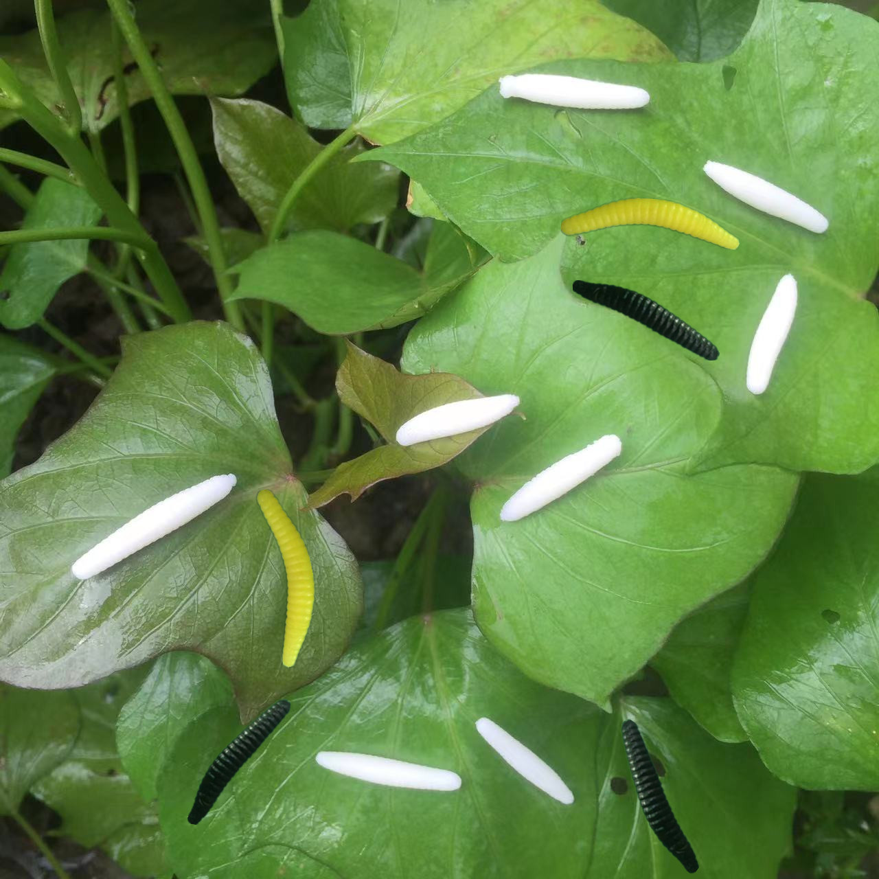 Пластиковая белая личинка черная червь желтый червь игрушка на Хэллоуин аксессуары TPR мягкий клей симуляция белого червя