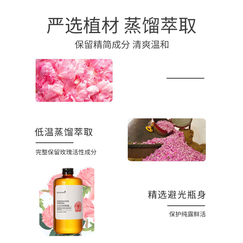 Bang Wei Rose Chamomile Pure Dew 500ml Skin Moisturizing Skin Damascus Rose Pure Dew Wholesale