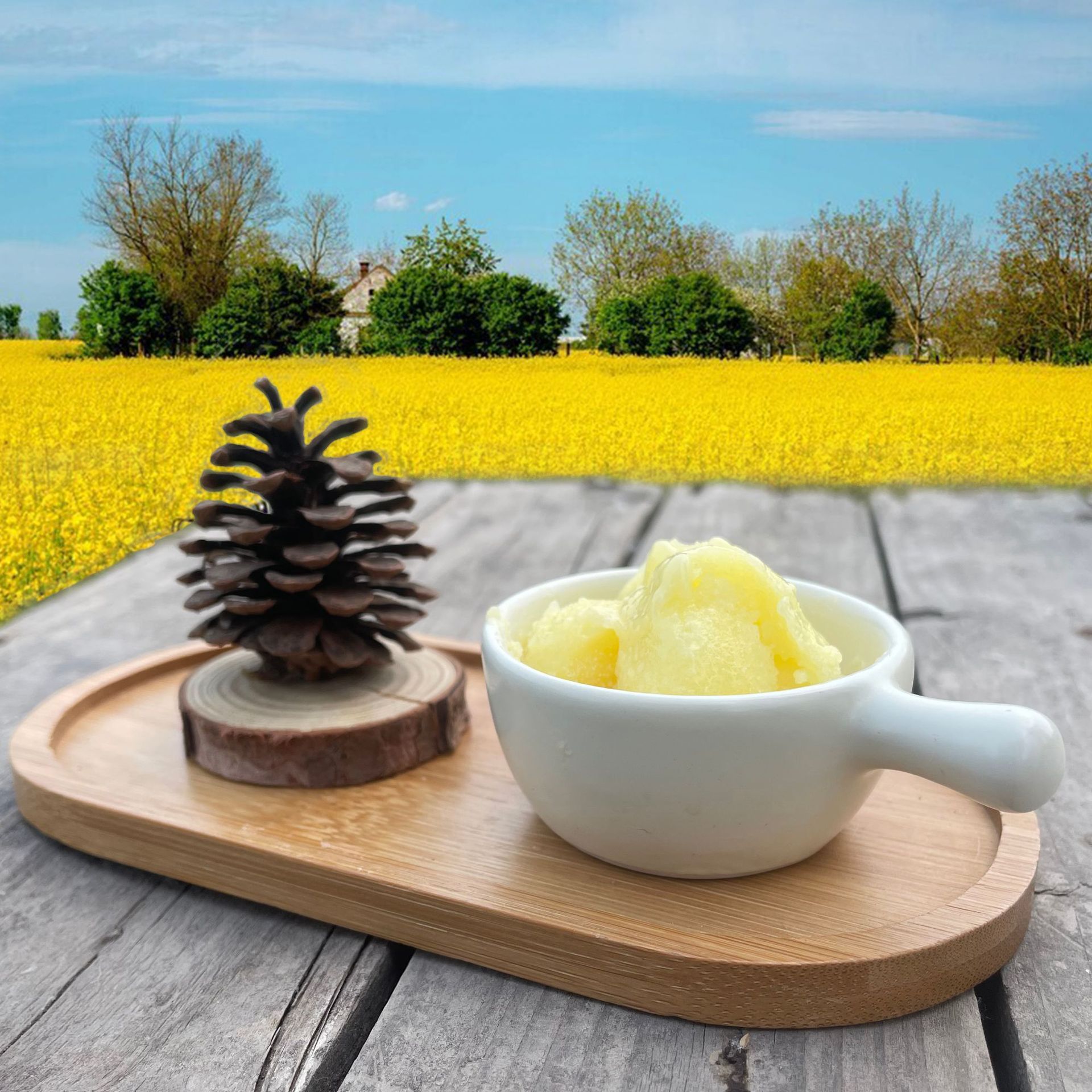 Zhuoyu Royal Jelly Wholesale Qinghai Rapeseed Royal Jelly Bee Milk Bulk Frozen Pure Product 500g Bottled