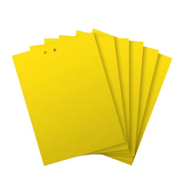 Yellow Board Double-Sided Sticky Insect Board Physical Sticky Insect Home Trap Orchard Tea Mountain Rod Thrips Fruit Fly Trap Powerful