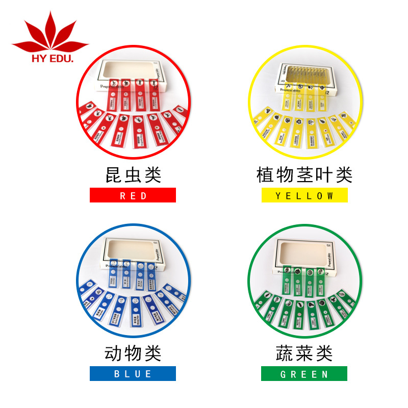 Red Apple Teaching Instrument Biological Slice Red, Yellow, Blue and Green Four-Box Set Plastic Colorful Comprehensive 48-Piece Set