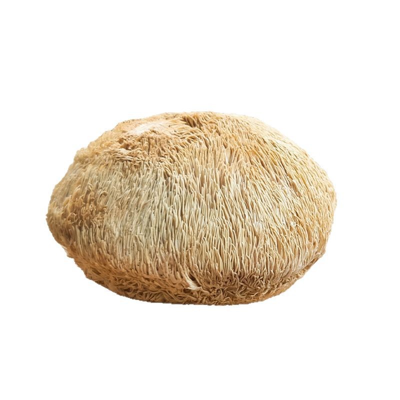 Gutian Specialty Dried Hericium Erinaceus 80g Shipped from the Place of Origin, Supports Dropshipping and Wholesale, Sulfur-Free, Smoked, High Quality