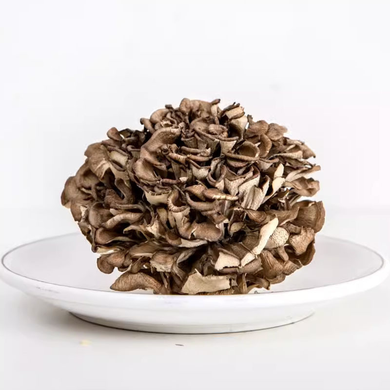 New Arrival Qingyuan Grifola Frondosa Dry Goods Without Mud Grifola Frondosa Tea Chrysanthemum Chestnut Mushroom Fresh Grifola Frondosa Wholesale