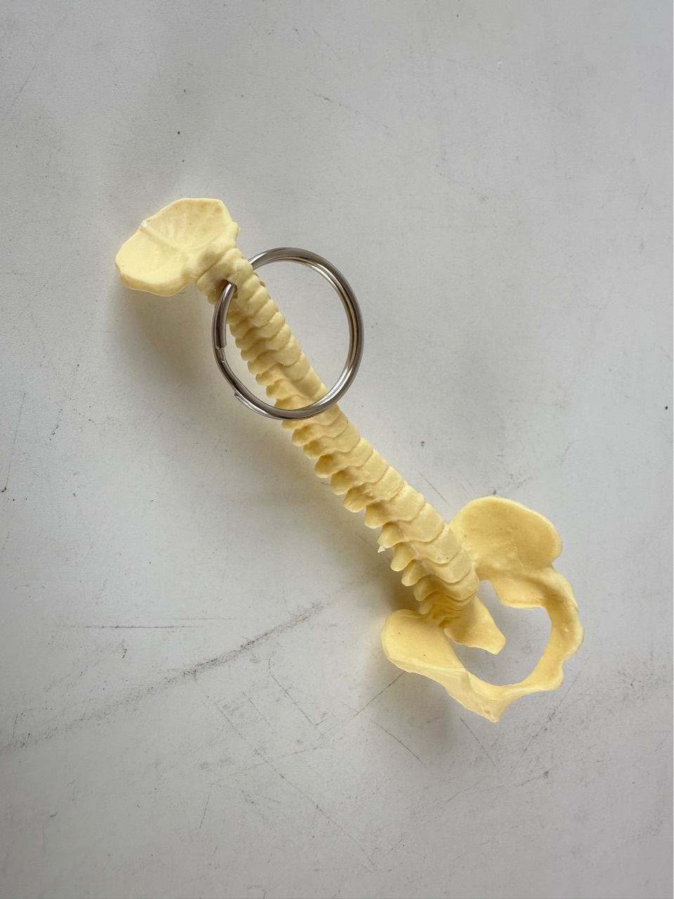 Human spine key chain spine key chain skull skeleton ornament Xili strange toy