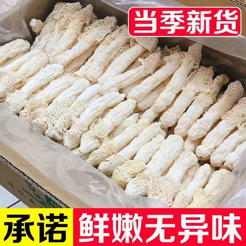 Fresh Dictyophora Dried Goods Wholesale Fujian Specialty Farm Soup Bamboo Sheng Mushroom Mushroom Dictyophora Fresh Edible Mushroom