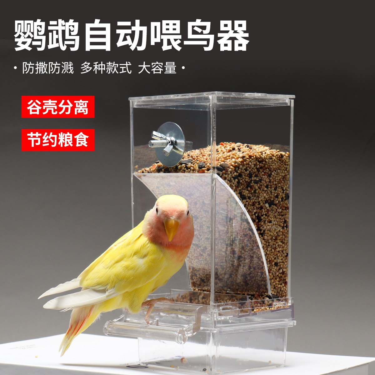Parrot Bird Food Box Anti-splash Automatic Feeder Anti-splash External Bird Feeder Tiger Skin Peony Black Phoenix Bird Supplies