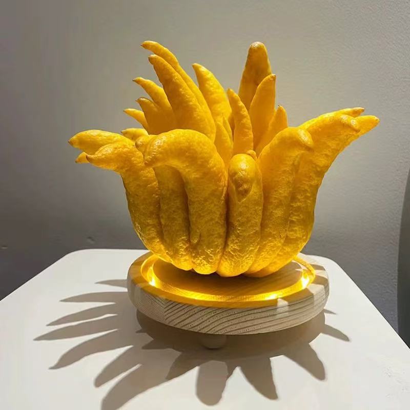 Yunnan Buddha's Hand for Blessings and Longevity, Yunnan Buddha's Hand Hydroponic Flower Arrangement for Ornamental Display, Natural Aromatherapy Freshly Harvested