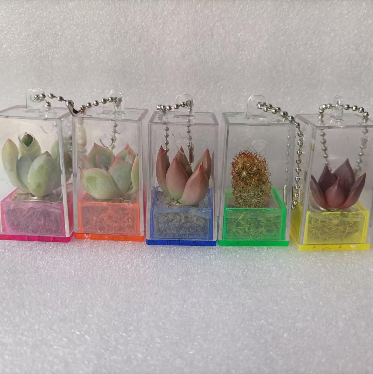 Creative Succulent Keychain Pendant Miniature Plant Miniature Landscape Student Gift