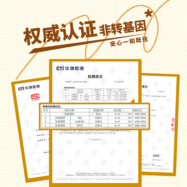 Coarse Grain Cereal High Fiber Low 220g Sweet Waxy Corn Glutinous Sticky Fat Corn Vacuum Packaging Factory Straight Hair Black Corn