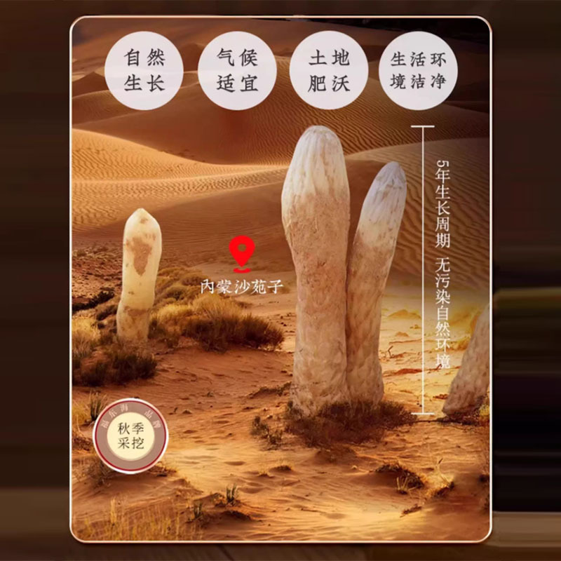 Grade Cistanches Inner Mongolia Direct Supply Cistanches Slices Medicinal and Edible Origin Without Additives Patterned Sheet-Aged Cistanches Ll