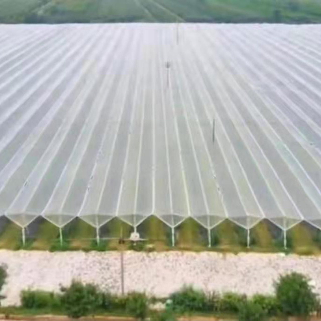 Spot supply insect net 60 mesh super thick fruit tree greenhouse breeding anti-aging warranty for 5 years