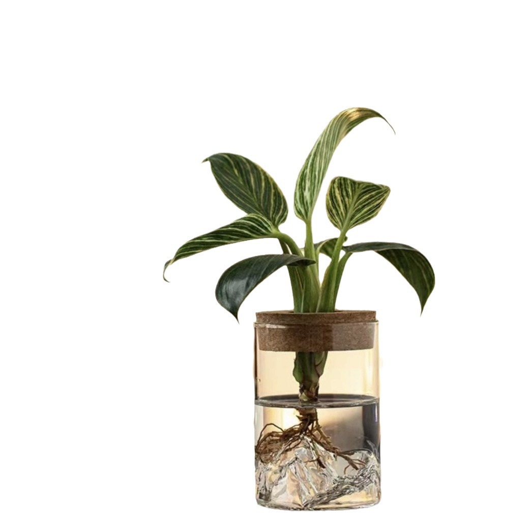 Hydroponic Vase Creative Micro Landscape Bonsai Flower Bottle Decorative Ornaments Living Room Flower Arrangement Transparent Glass Small Vase