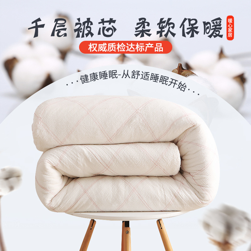 Cotton Quilt Dormitory Thickened Winter Quilt Cotton Wool Mattress Quilt Single Four Seasons Spring and Autumn Quilt Core Wholesale