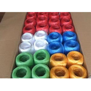 New Product Pp Packaging Rope _ Shandong Taian Production and Supply Pp Packaging Rope Price
