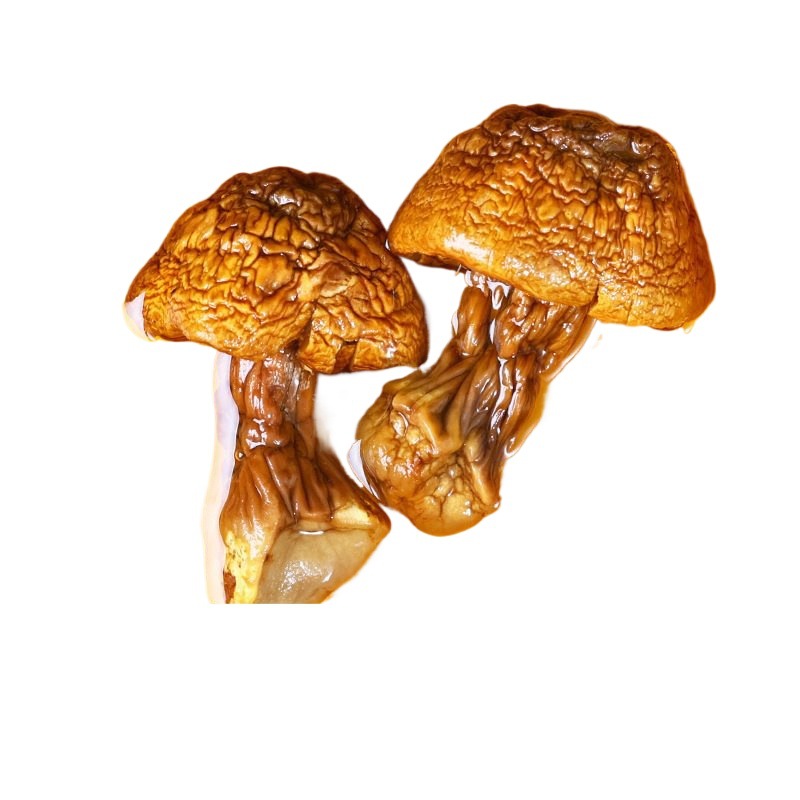 # Academy of Agricultural Sciences Agaricus blazei Dry Products Yunnan Specialty New Products Edible Mushroom Tricholoma matsutake Mushroom Soup Bag Soup Food