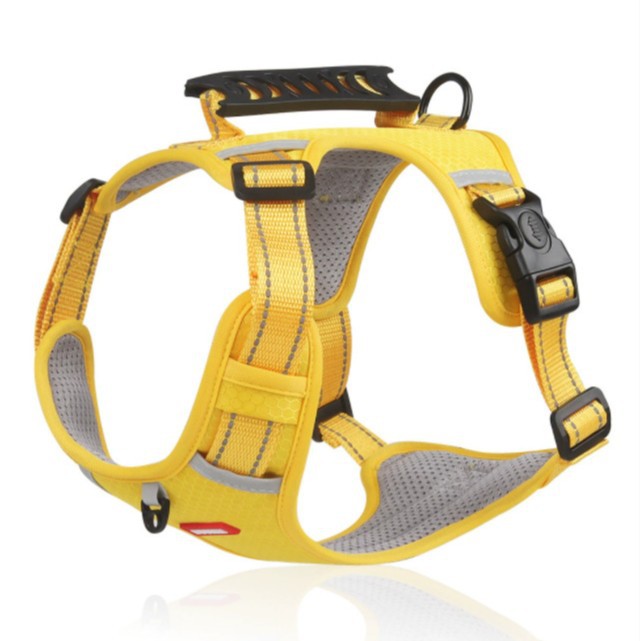 Wholesale In-Stock Thickened Pet Buckle Harness with Lock Buckle Dog Collar Pet Accessories Leash Safety Buckle