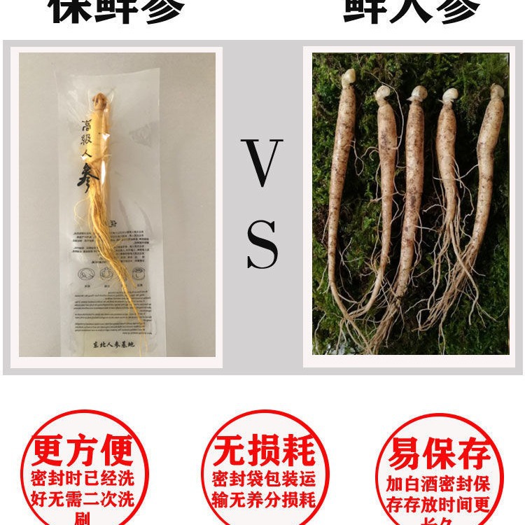 Changbai Mountain ginseng whole root wholesale fresh-keeping ginseng vacuum independent packaging a bag of ginseng farmers self-produced direct sales