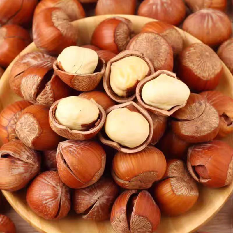 Wholesale and Retail of Wild Hazelnuts from Northeast China, a Specialty Product with Large Kernels, Thin Skin, and Original Flavor, Suitable for Commercial Use