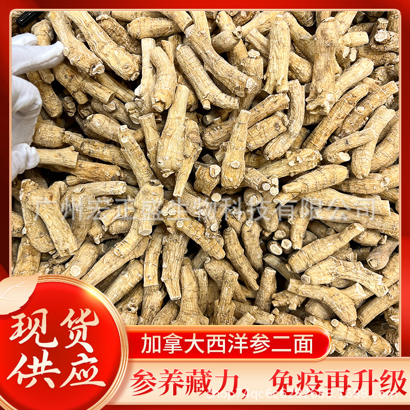 Канадский американский женьшень с короткими ветвями, оптовая упаковка, полные спецификации, американский женьшень 15 г, 20 г, 25 г для супа