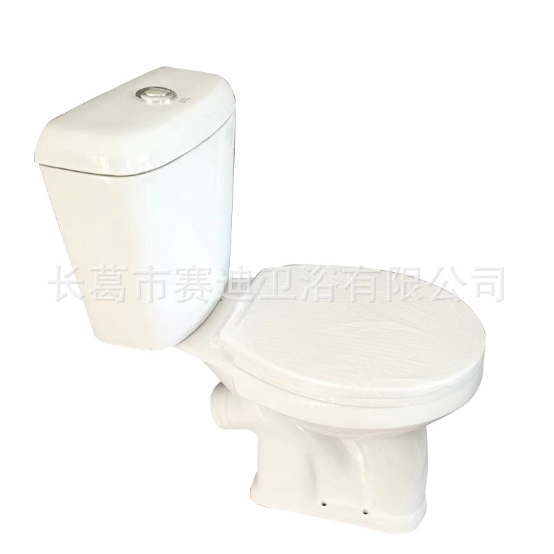 Split Wall-Mounted Toilet with Angled Flush, Various Specifications, Export to Central Asia, Flush Toilet