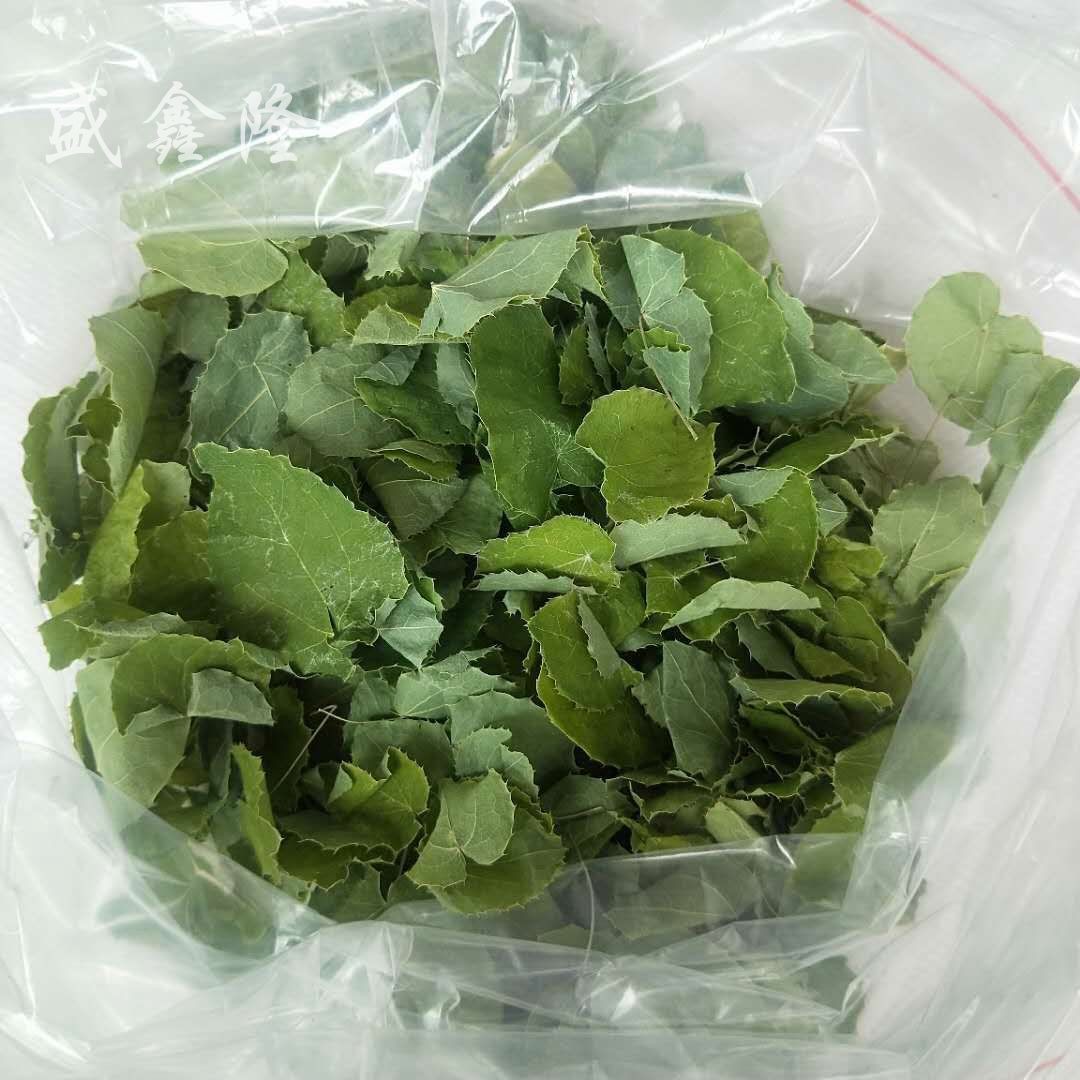 Wild Epimedium (Horny Goat Weed) with Small Round Leaves, Genuine Chinese Medicinal Herb, Produced in Gansu Longnan, Carefully Selected, Complete Range of Specifications, Available for Dropshipping
