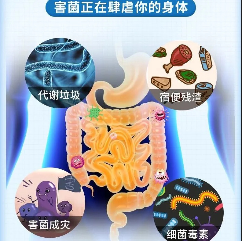 Probiotics Nanjing Tongrentang Probiotic Freeze-Dried Powder Prebiotic Intestinal Probiotics Wholesale Probiotics Customization