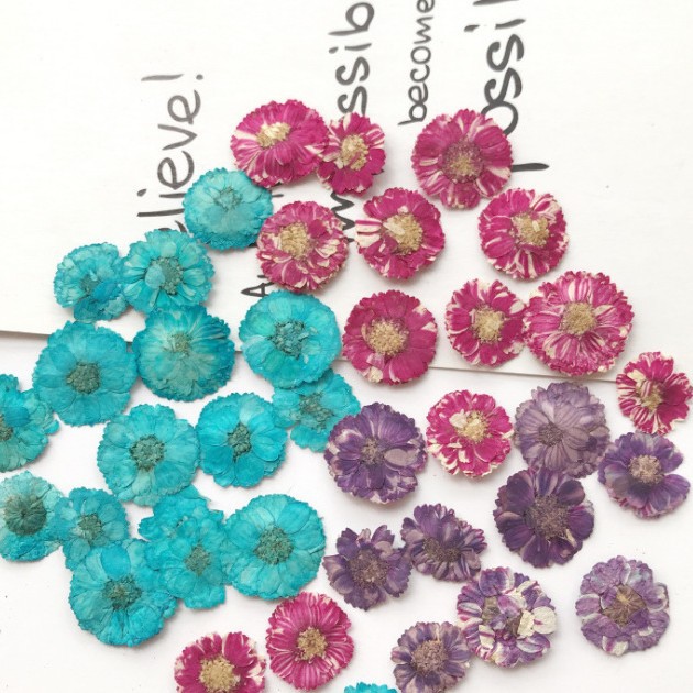 Daisy Color Hibiscus Flower Small Chrysanthemum Drop Glue Dried Flower Mobile Phone Shell diy Embossed Flower Accessories Baffle
