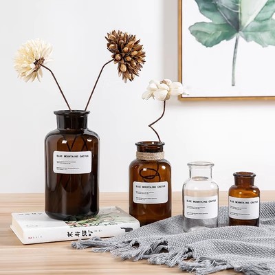 Cross-Border New Glass Vase Wholesale Living Room and Restaurant Decoration Vase Vas Flower Arrangement Exquisite