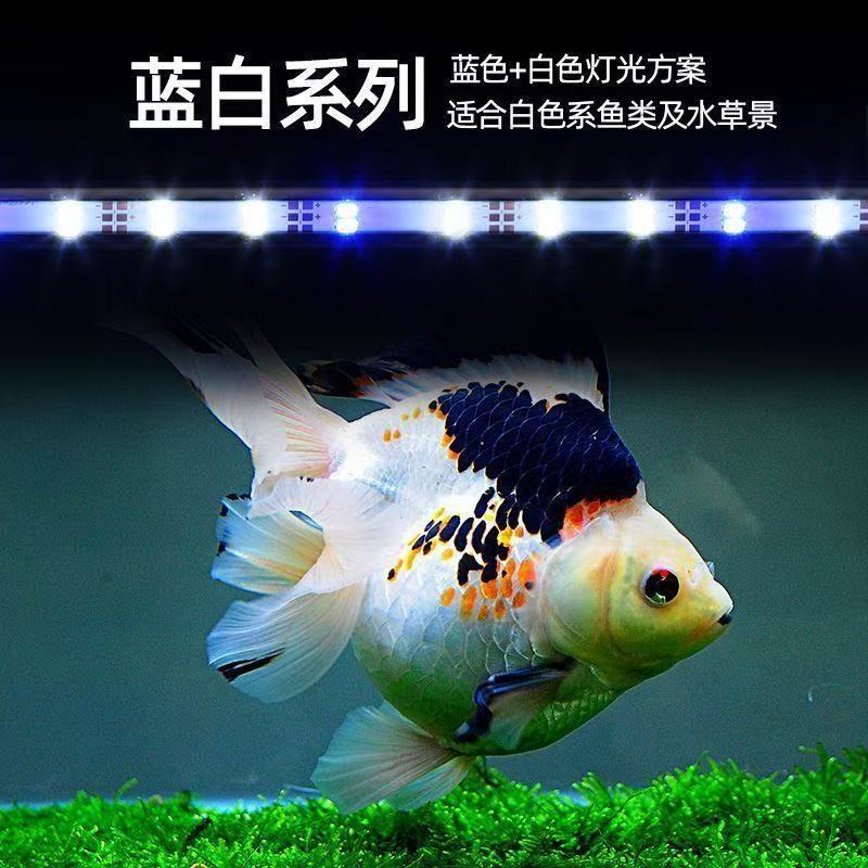 Cross-Border Fish Tank Diving Light Lighting Low Voltage USB Waterproof Light Double Drainage Aquarium Brightening Light 110V USB Light