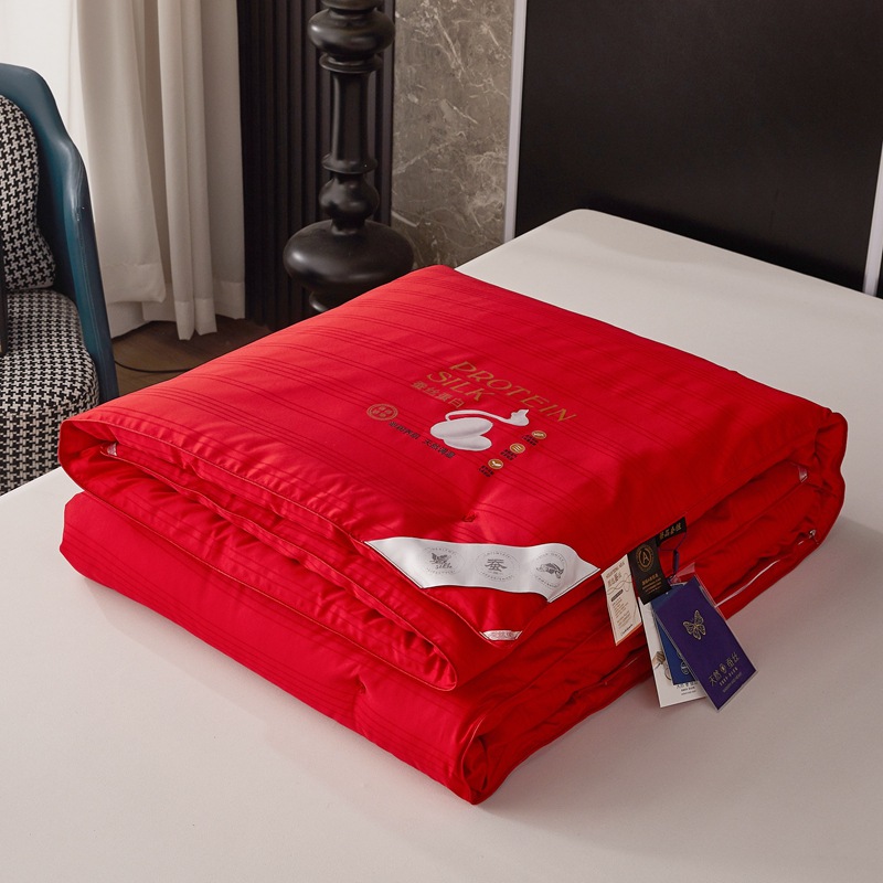 High-End Silk Quilt Gift New Quilt Winter Thickened Quilt Core Household High-Quality Silk Quilt Core Supply Wholesale