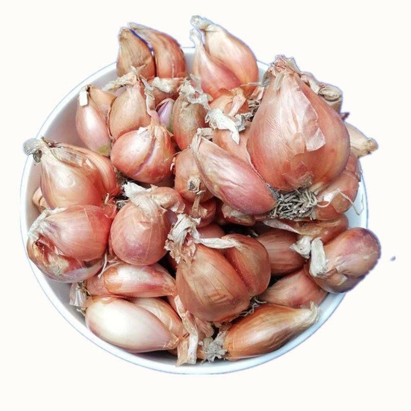 Free Shipping, Dried Chives, Red Onion Seeds, Farm Chive Fruit Wholesale, Shallots, Four-Season Chive Seedlings