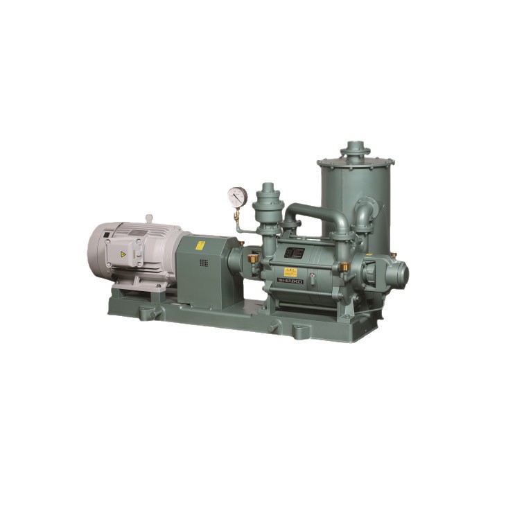 Japan Original Imported Shinko Seiki Hydraulic Vacuum Pump Sw Series