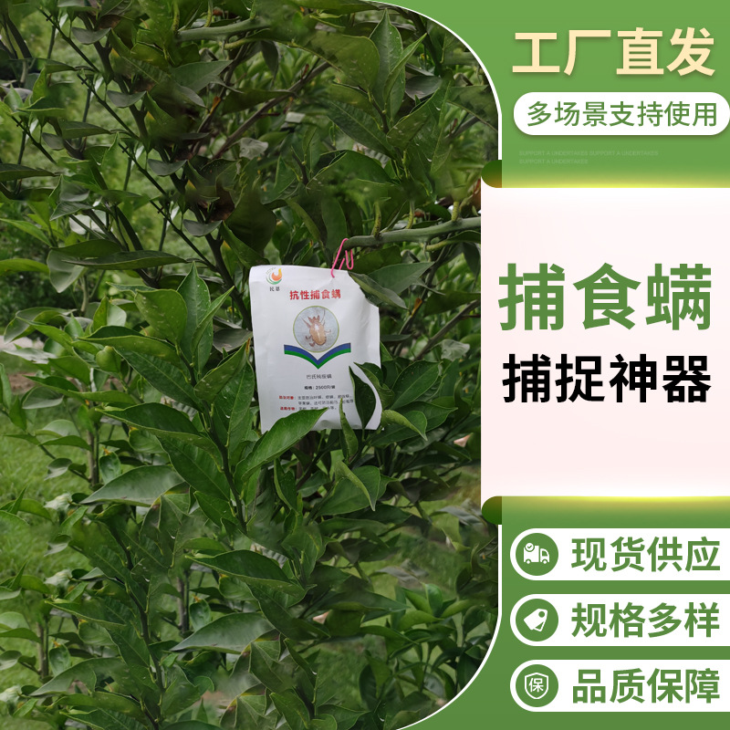 Производители клещей Сычуань, тупые клещи Bar и тупые клещи Hu Gu - Профилактика и контроль красных паутинных клещей, яиц белокрылки и др.