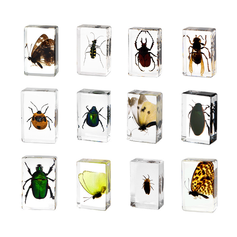 Cross-Border Hot-Selling Wholesale Insect Amber Specimens Resin Crafts Children's Educational Toys Cultural and Creative Gifts Collectible Ornaments