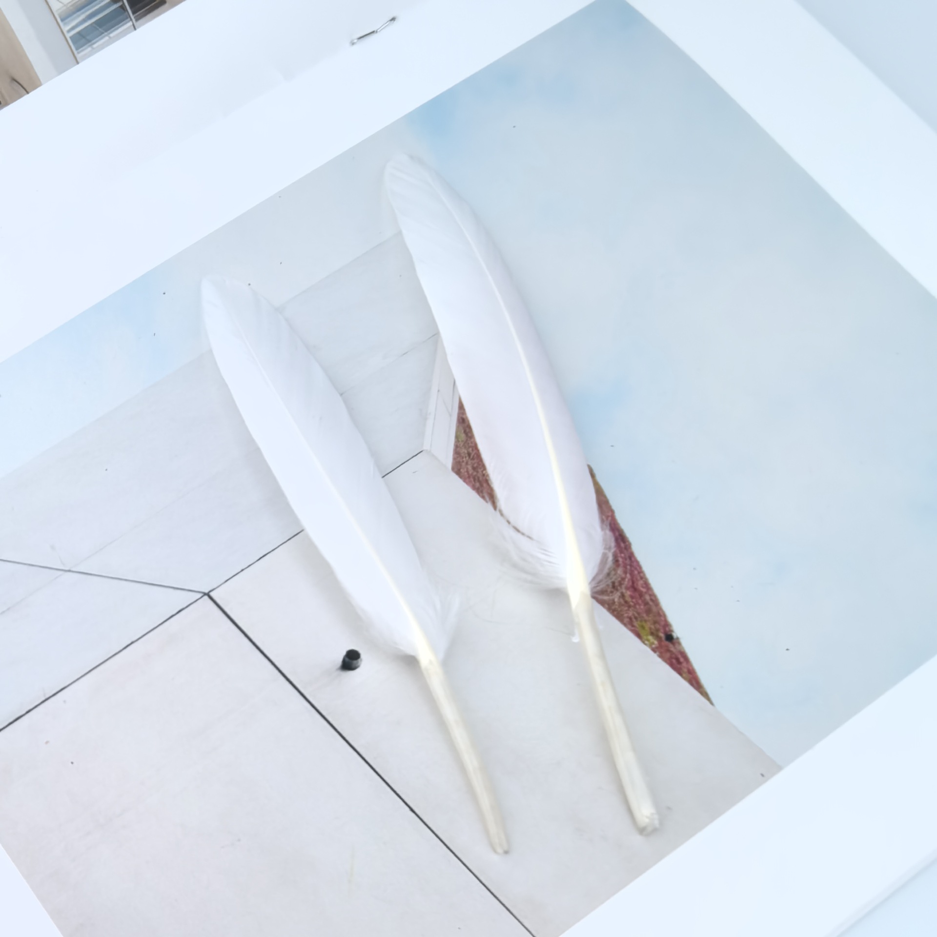 in stock wholesale color goose feather small straight knife feather yiwu diy feather toddler handmade material craft feather