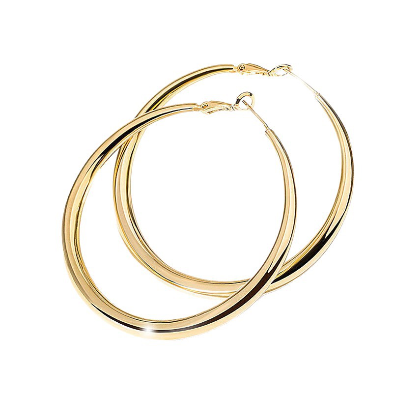 Simple temperament exaggerated big circle earrings female niche high-end sense of network red explosions earrings ear jewelry manufacturers wholesale