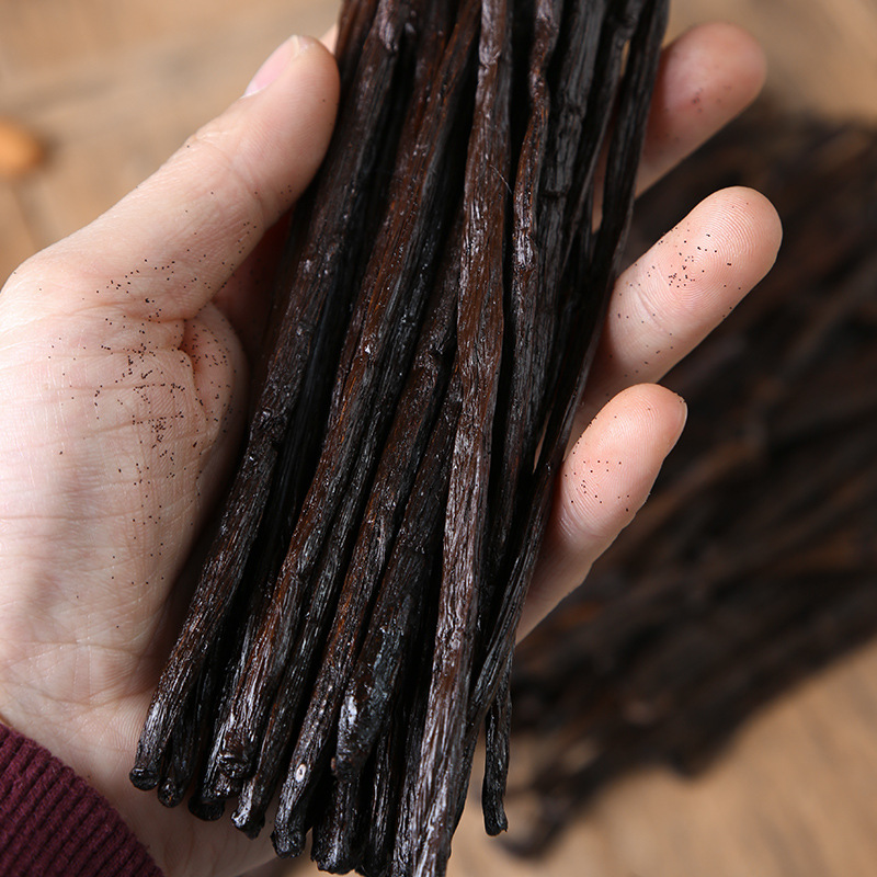 Bann motor Gargas vanilla pod 13-19cm single Tahitian vanilla bean Horse Island Vanilla Stick for baking