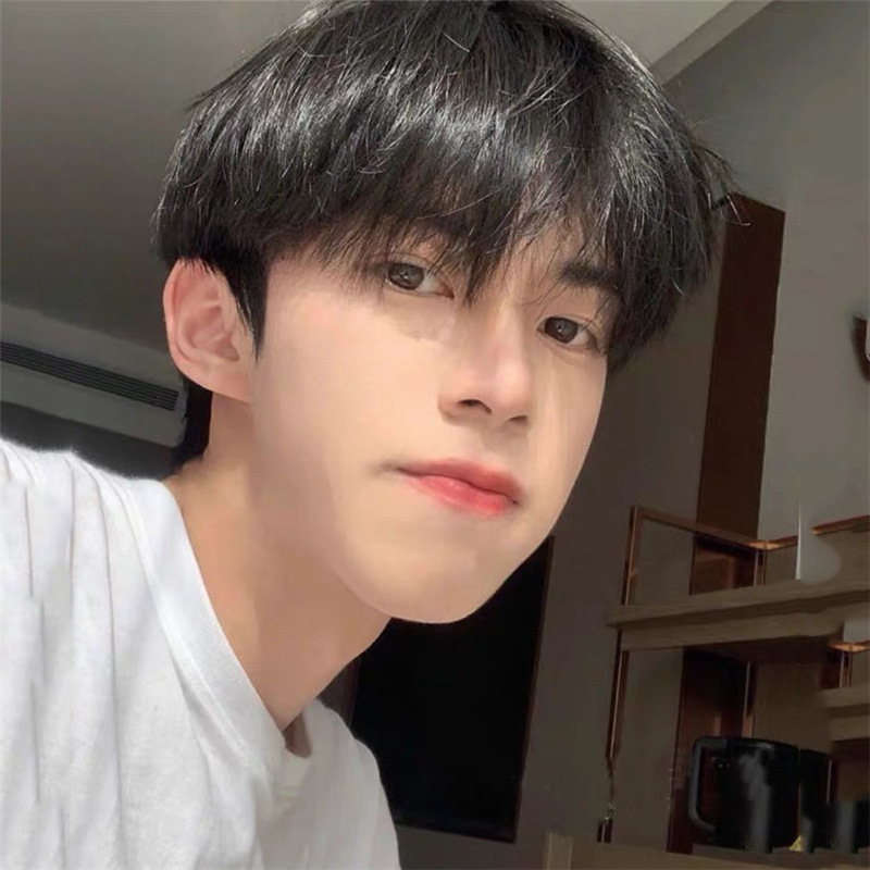 Wig men's short hair Korean handsome men's short straight hair neat bangs student fluffy daily full head cover factory wholesale