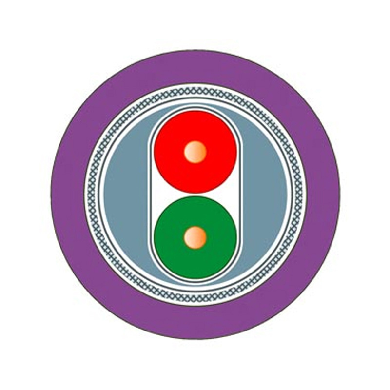 Siemens/Zizi 6Xv1830-0Eh10 Standard Cable 2-Core Shielded/Dp Communication Cable 6Xv18300Eh10
