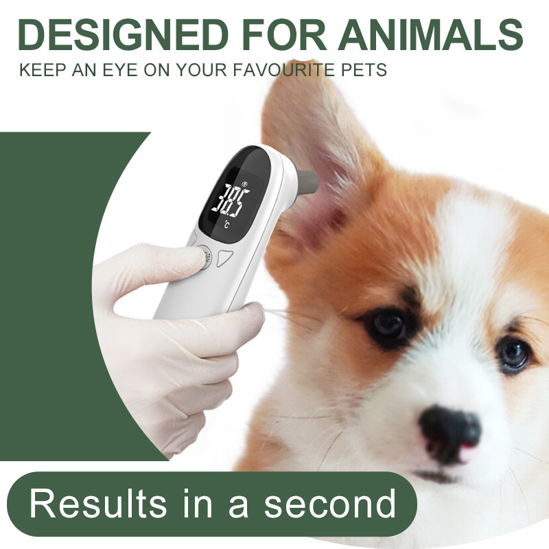 Pet Thermometer Thermometer Cat Thermometer Dog Thermometer Export