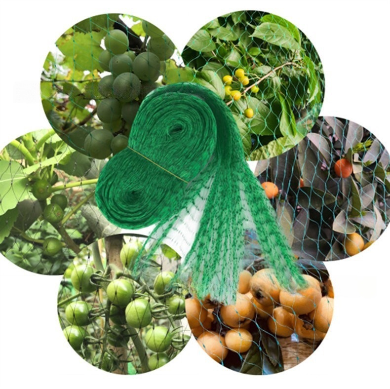 Bird-Proof Net Cross-Border Supply for Courtyard Grape Cherry Fruit Trees Green Black Polyethylene Factory Direct Sales Mesh